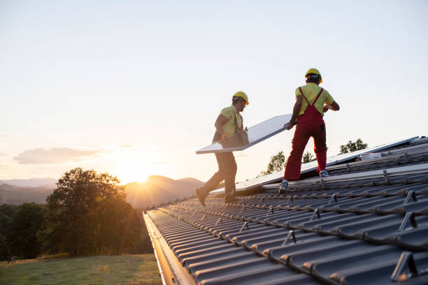 Best Chimney Flashing Repair  in Roan Mountain, TN