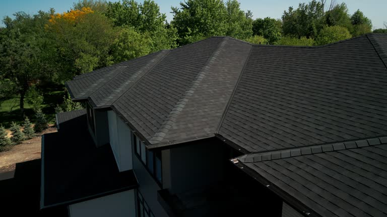 Best Roof Ventilation Installation  in Roan Mountain, TN