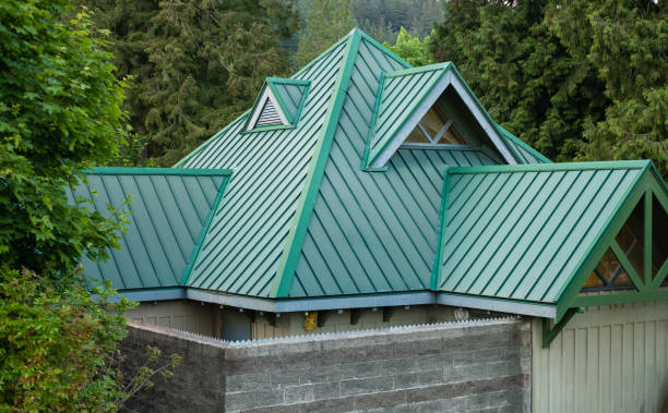 Best Metal Roofing Installation  in Roan Mountain, TN