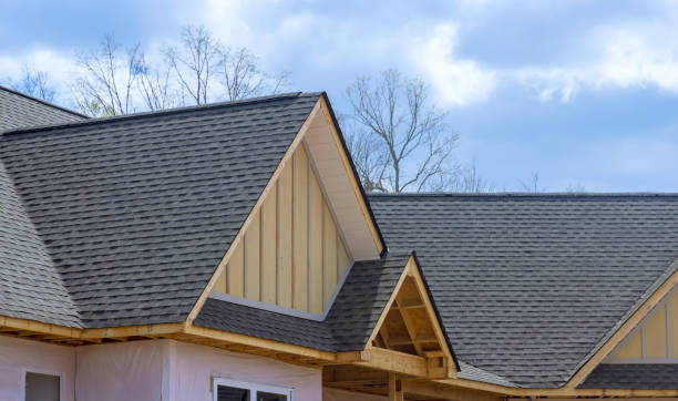 Best Roof Installation  in Roan Mountain, TN