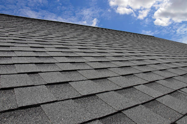 Best Asphalt Shingle Roofing  in Roan Mountain, TN